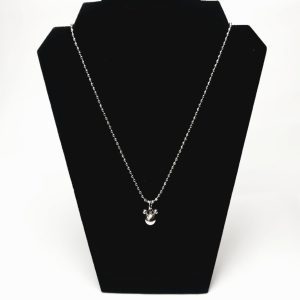 Cadena con dije