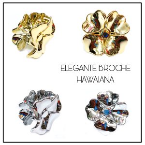 BROCHES