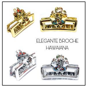 BROCHES